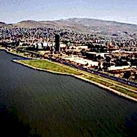 Bayraklı Çiçek Siparişi