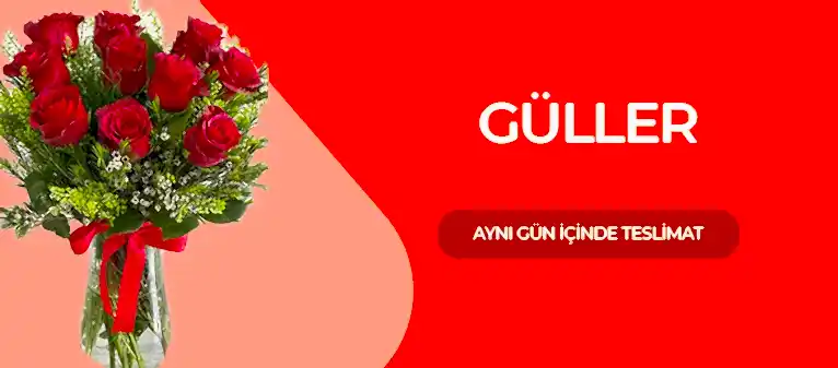 Gül Siparişi