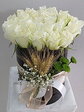 Kutuda Beyaz Güller