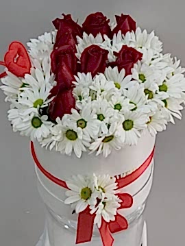 Papatya Gül Baş Harf