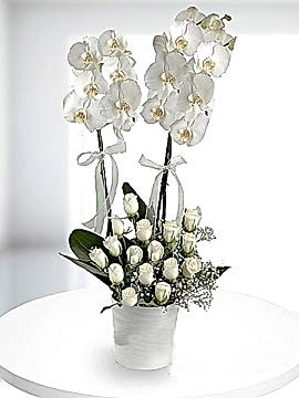 Orkide ve Beyaz Gül Aranjmanı