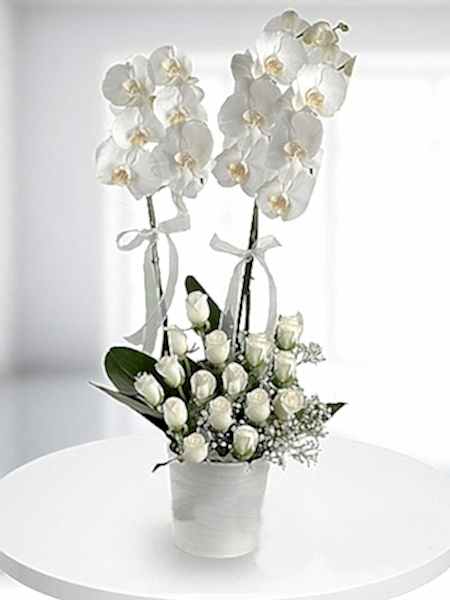Orkide ve Beyaz Gül Aranjmanı
