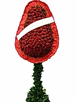 Tekli Kırmızı Çelenk