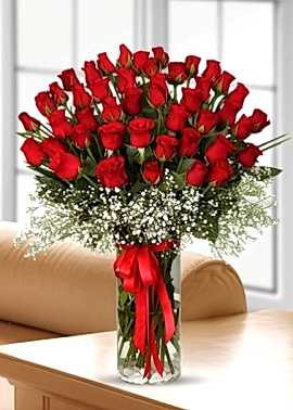 Vazoda 41 Kırmızı Gül