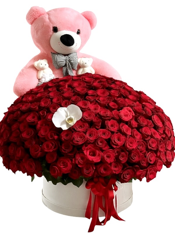 300 Gül ve Pembe Ayıcık