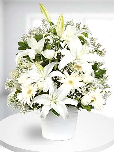 Beyaz Çiçek Tasarım Aranjman