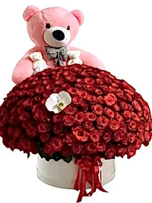 300 Gül ve Pembe Ayıcık