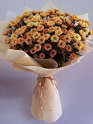 Apricot Kasımpatı Buketi