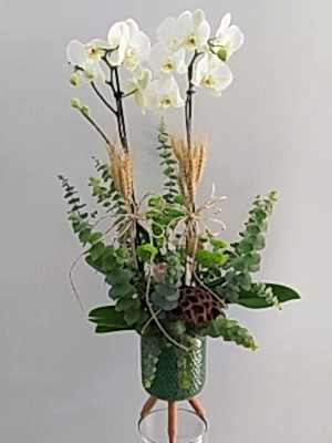 Ayaklı Saksıda 2 Dal Beyaz Orkide