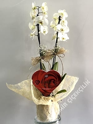 Orkide ve Kalp Çikolata