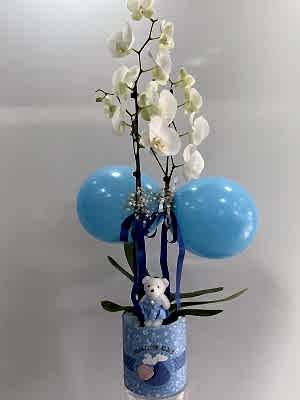 Erkek Bebek Beyaz Orkide Tasarım