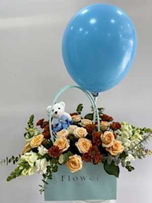 Erkek Bebek Çantada Aranjman