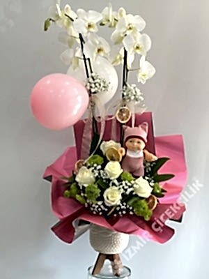 Orkide Yeni Doğan Kız Bebek Çiçeği