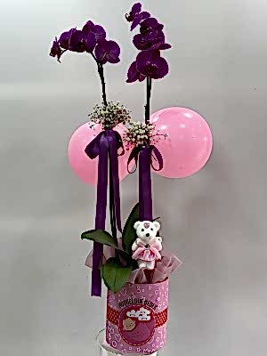 Kız Bebek Mor Orkide Tasarım