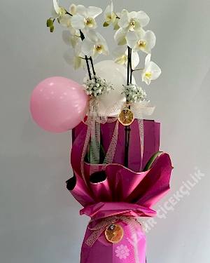 Yeni Doğan Kız Bebek Orkidesi