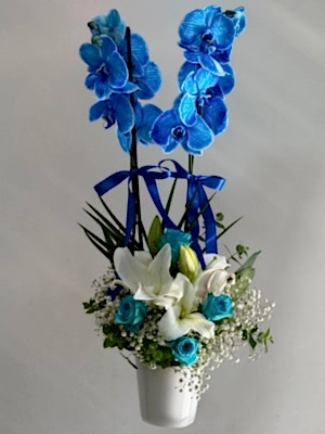 Mavi Orkide & Gül & Lilyum Aranjmanı