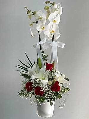 Orkide & Kırmızı Gül & Lilyum Aranjmanı