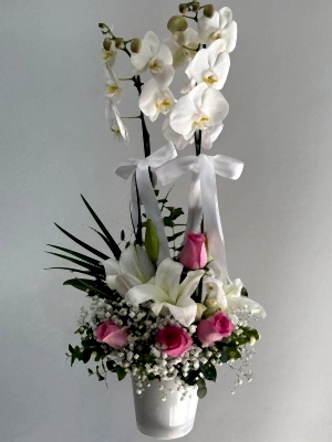 Orkide & Pembe Gül & Lilyum Aranjmanı