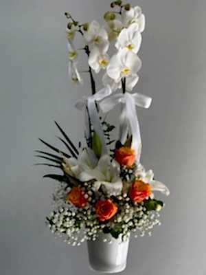 Orkide & Turuncu Gül & Lilyum Aranjmanı