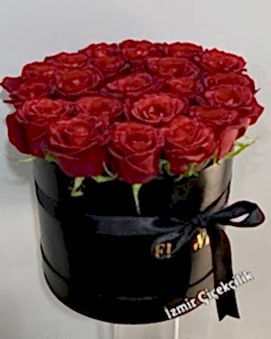 Orta Boy Kutuda 21 Kırmızı Gül