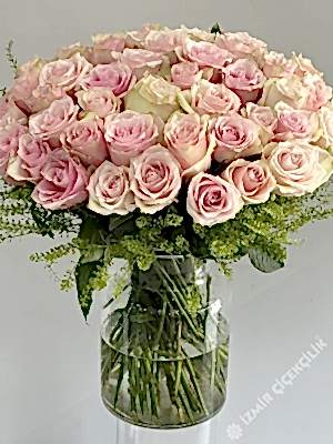 Grand Vazoda İthal 50 Pembe Gül