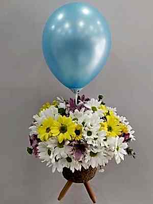 Ayaklı Vazoda Balonlu Erkek Bebek Çiçeği
